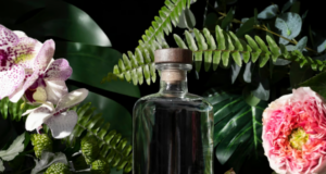 Духи, которые не теряют своей актуальности — легендарные женские ароматы